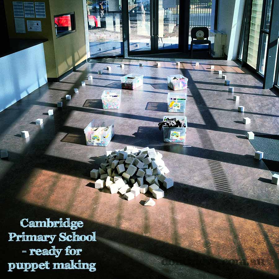 Cambridge Primary